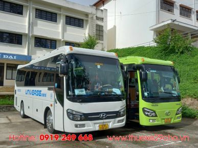 Cho thuê xe 29 chỗ đám cưới trọn gói giá tốt tại Tp.HCM